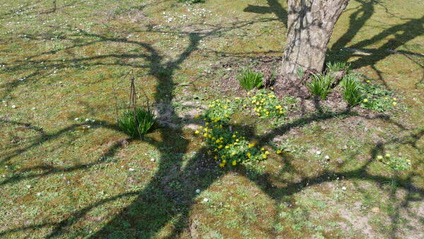 leil.de/di/pics/fruehlingsszene_garten_22.jpg