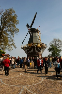 Windrad im Keukenhof