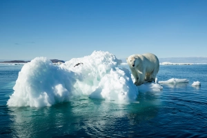 Eisbär auf einer Eisscholle im Nunavut Territory (Kanada)